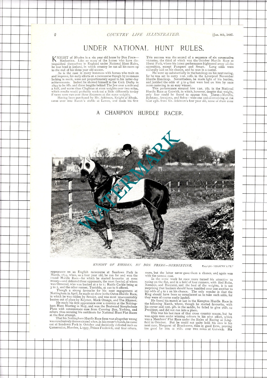 Knight Of Rhodes Horse Bon Frere Escott Lewes  - 1897 Article / Print