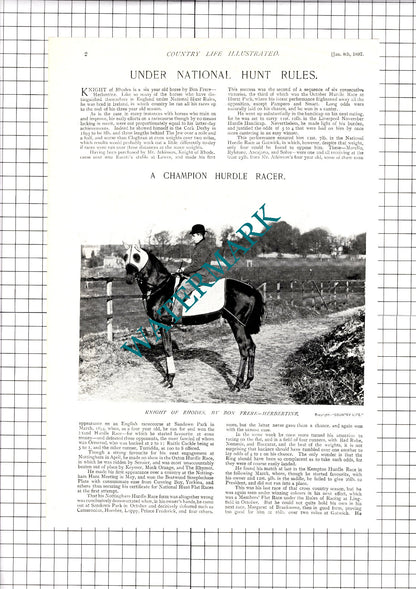 Knight Of Rhodes Horse Bon Frere Escott Lewes  - 1897 Article / Print