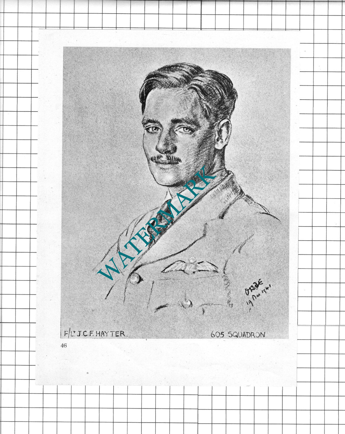 F/Lt JCF Hayter / W/Cmdr T G Pike   WW2 Pilot - 1942 Book Print