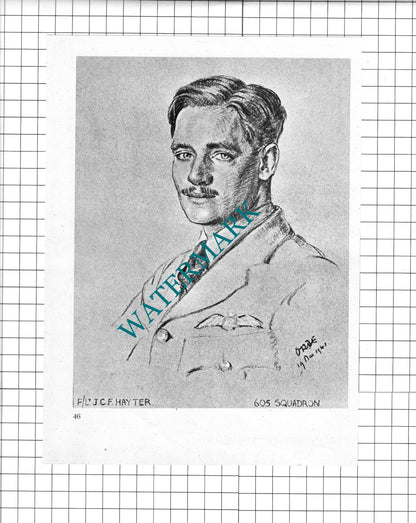 F/Lt JCF Hayter / W/Cmdr T G Pike   WW2 Pilot - 1942 Book Print