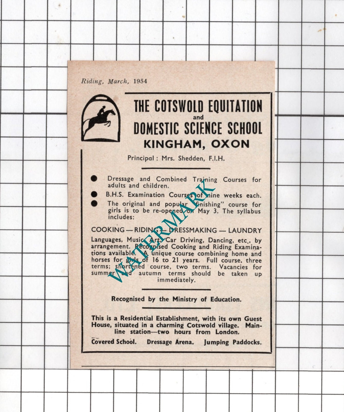 The Cotswold Equitation Kingham Oxfordshire Mrs Shedden -  1954 SMALL Advert