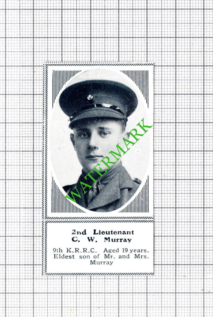 2nd Lt C W Murray 9th KRRC WW1 - c.1918 SMALL Cutting