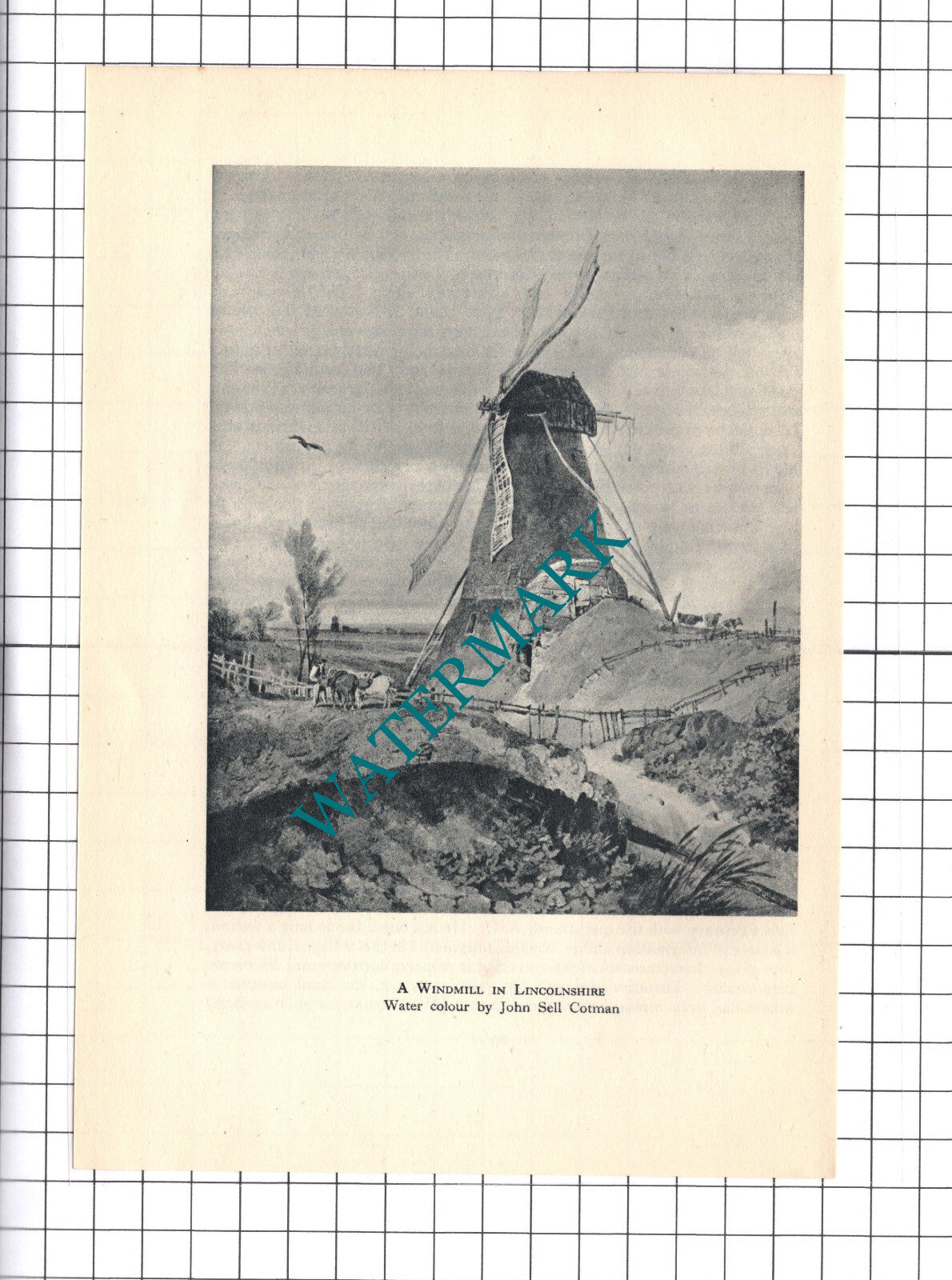 Lincolnshire Windmill - c.1945 Clipping / Print