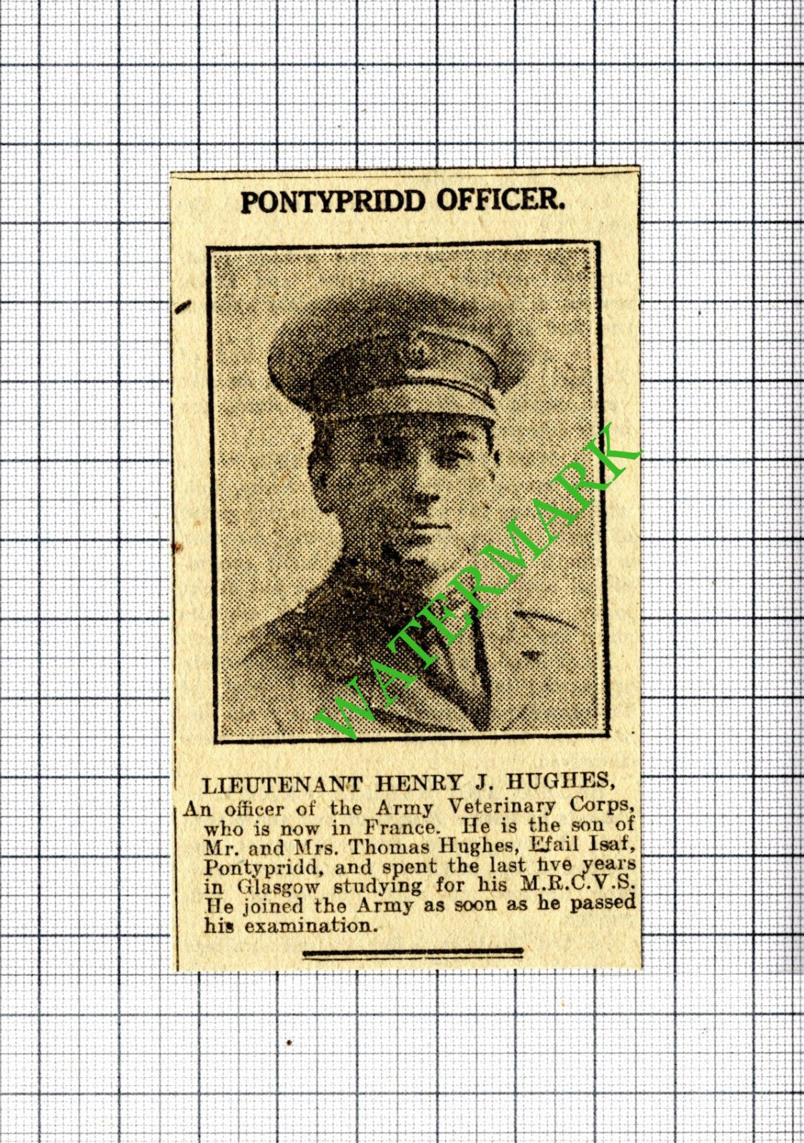 Lt Henry J Hughes Pontypridd Wales Army Veterinary Corps  - 1916 Small Cutting