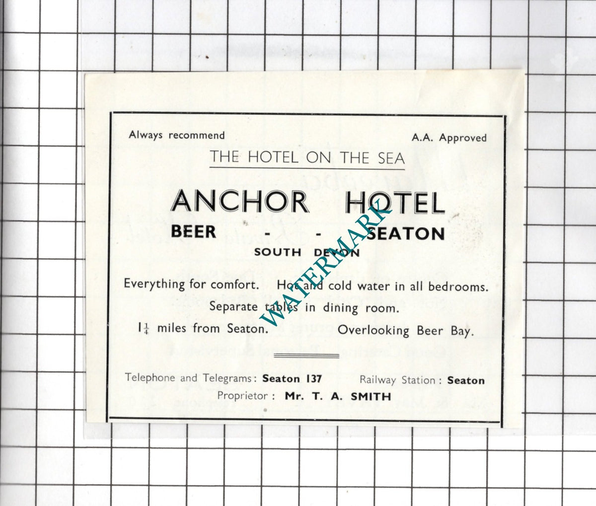 Anchor Hotel Beer Seaton Devon / Mareeba Hotel Seaton Pavey  c.1954 Small Advert