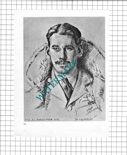 Flt Lt J C Mungo-Park / P/O R O Stevens WW2 Pilot - 1942 Book Print ( Creased! )
