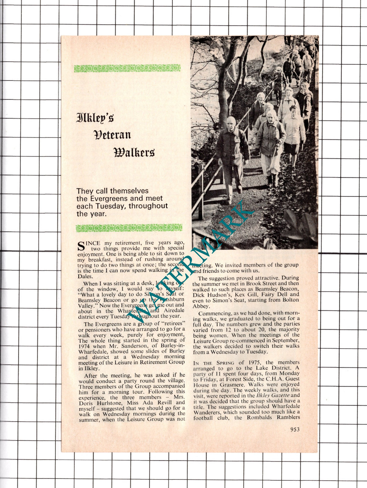 Ilkley Yorkshire Evergreens Chris Dougherty Hurlestone - 1978 Article / Print
