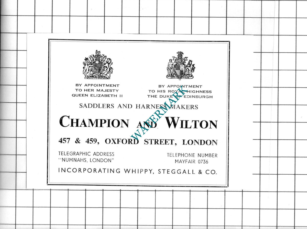 Champion and Wilton London Small Advert - c.1960's Clipping/ Print