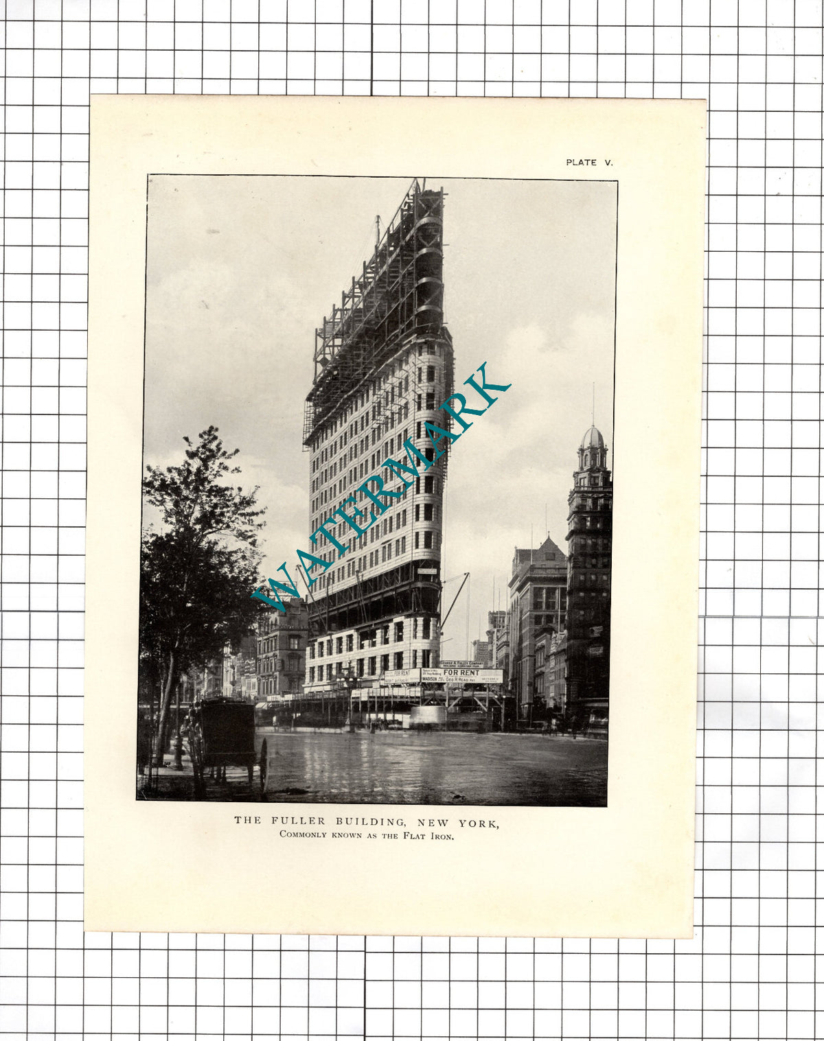 The Fuller Building New York  - c.1910 Print