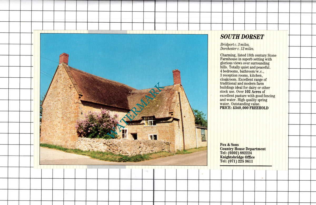 Bridport Dorset House Sale Advert - 1991 Clipping