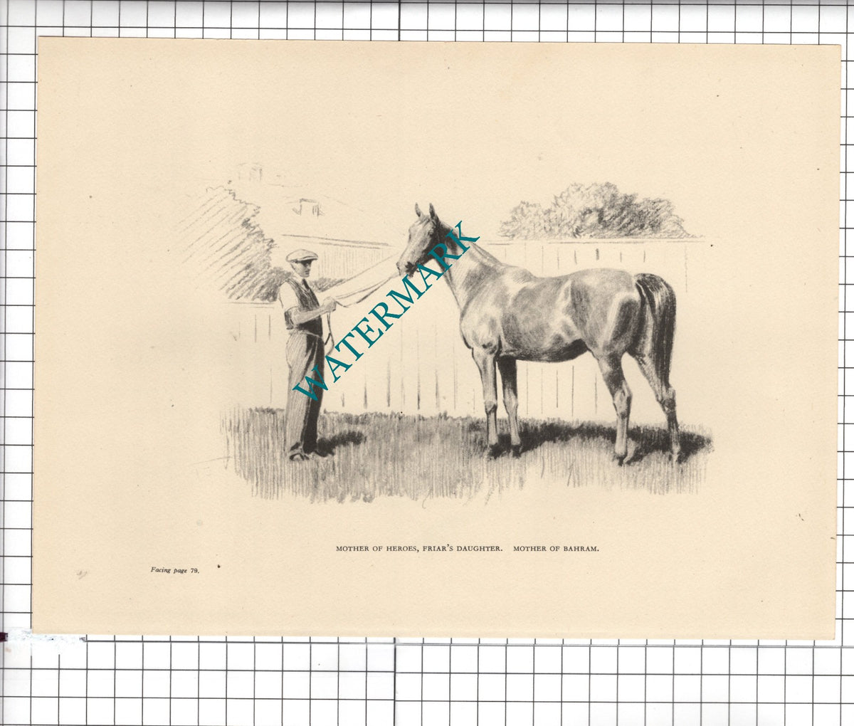 Mother Of Heroes Bahram Friar's Daughter / Sansovino Horse 1945 Clipping / Print
