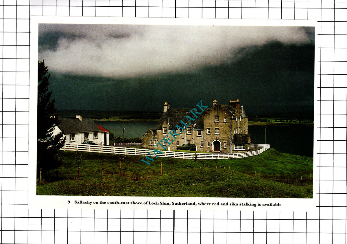 Sallachy Loch Shin Sutherland Scotland - 1991 Clipping / Print