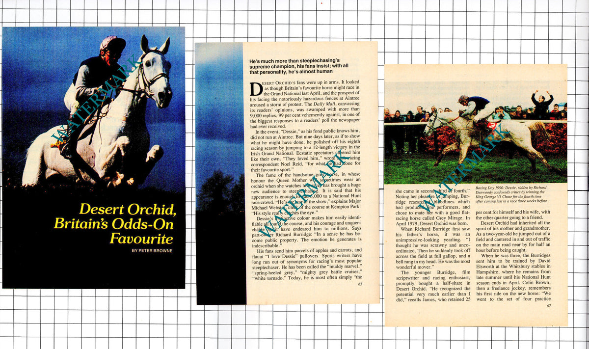 Desert Orchid Horse - 1991 Small Article