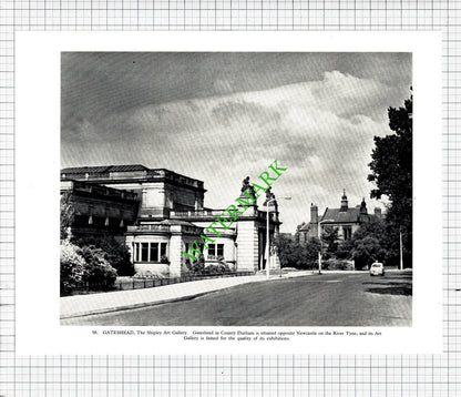 Shipley Art Gallery Gateshead / Blanchland Northumberland -  1958 Cutting/ Print