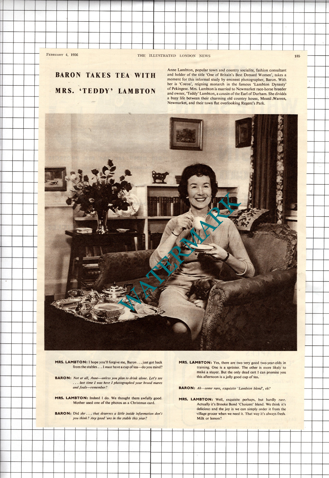 Anne Lambton Mrs Teddy Lambton Brooke Bond Tea Advert - 1956 Cutting