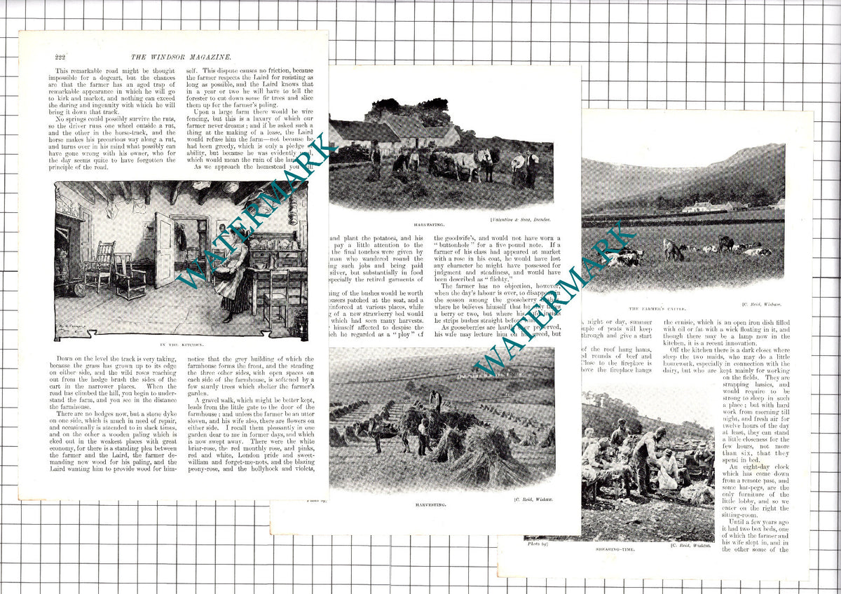 Scots Farmers Scottish Farm Scotland  Ian Maclaren - 1907 Article / Print