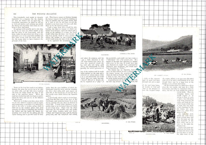 Scots Farmers Scottish Farm Scotland  Ian Maclaren - 1907 Article / Print