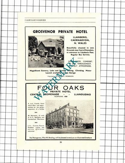 Royal Victoria Hotel Llanberis Grosvenor Hotel Four Oaks Llandudno  -1953 Advert