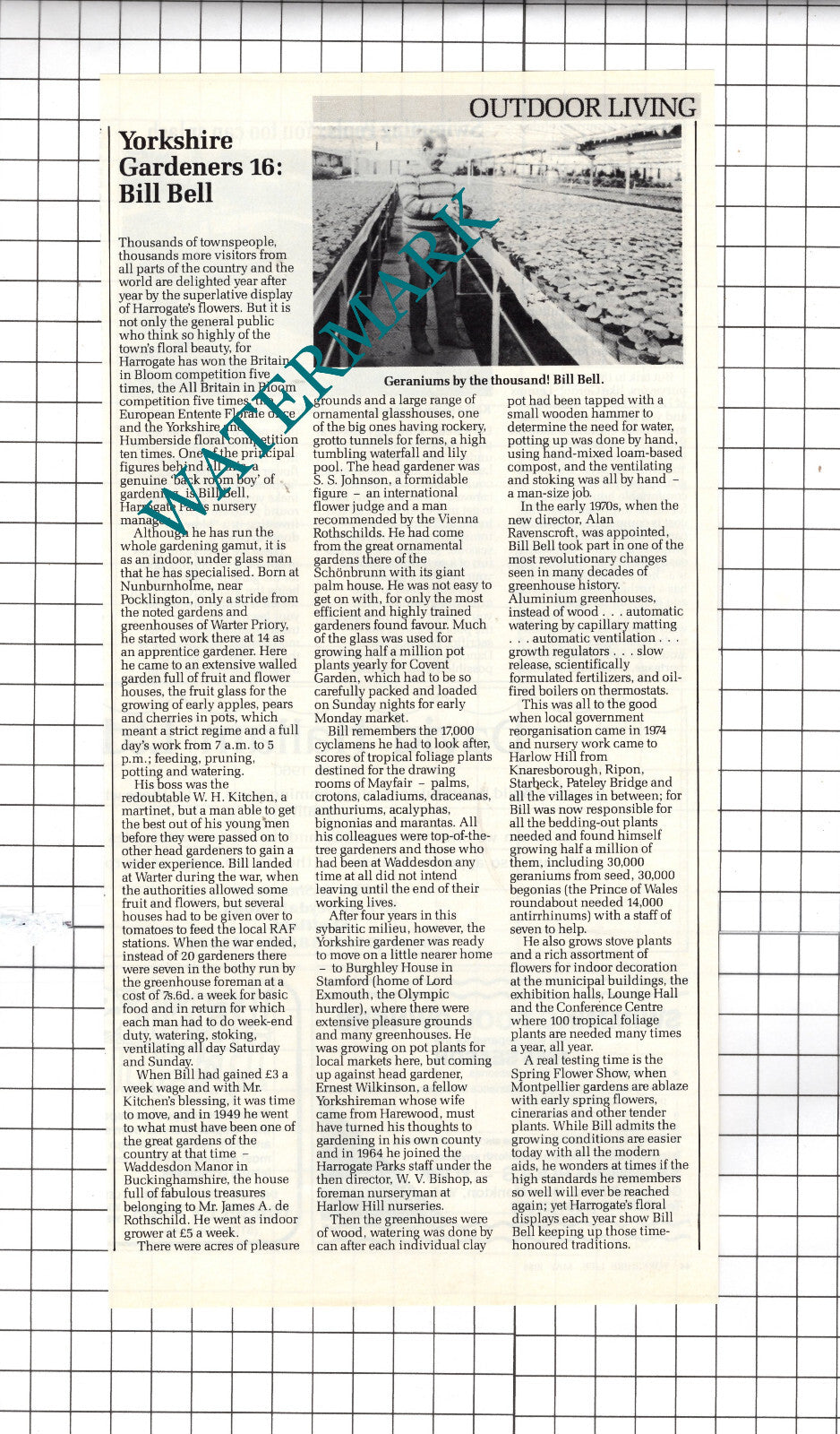 Bill Bell Nunburnholme Harrogate Parks Nursery Yorkshire   - 1985 Clipping