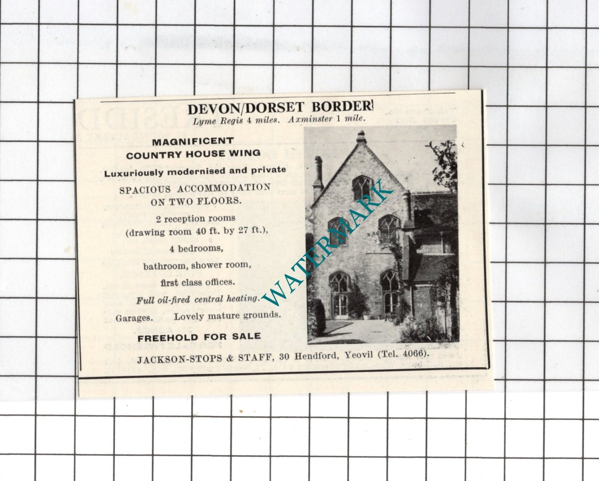 Axminster Devon SMALL House Advert - 1967