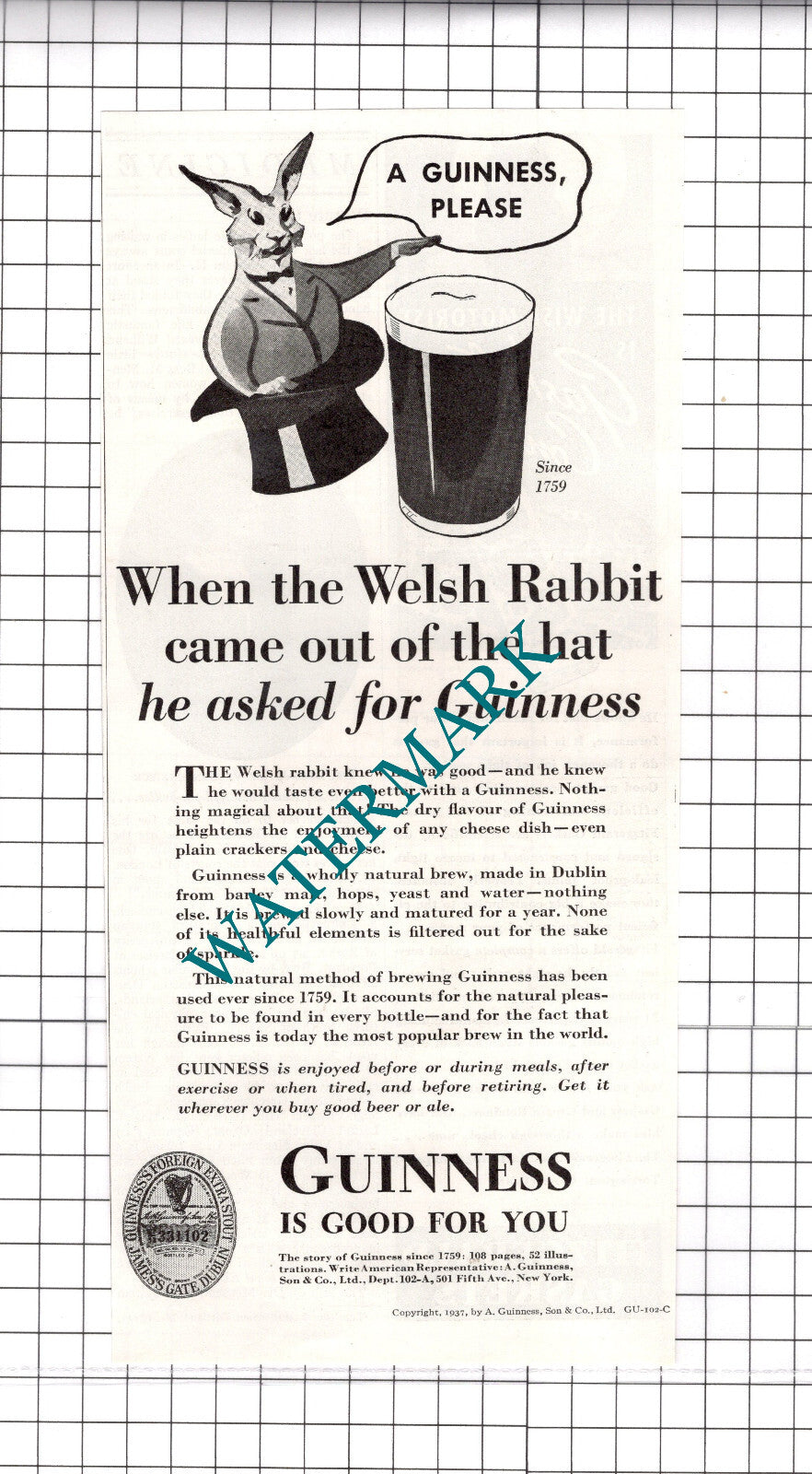 Guinness ADVERT Welsh Rabbit -  1937 Clipping / Print