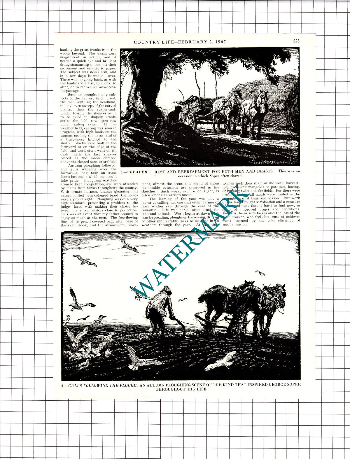 George Soper Artist - 1967 Article / Print