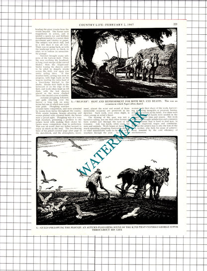 George Soper Artist - 1967 Article / Print