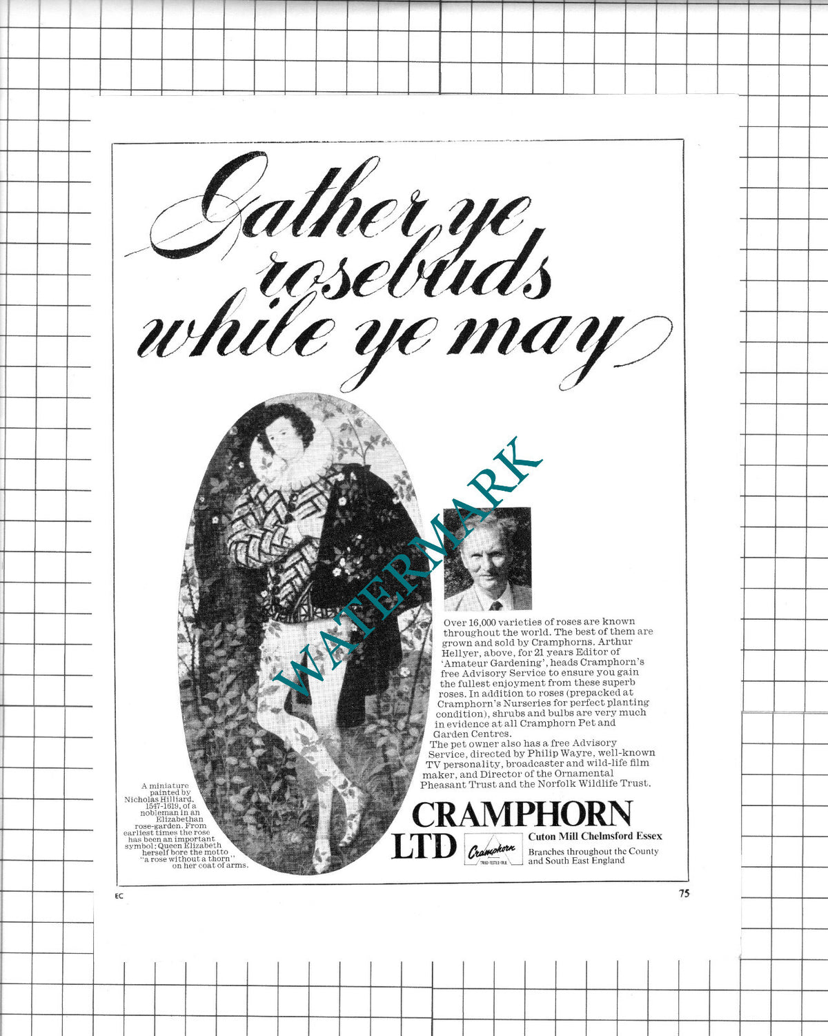Arthur Hellyer Cramphorn Ltd Chelmsford Essex  Advert -  1965 Cutting / Print