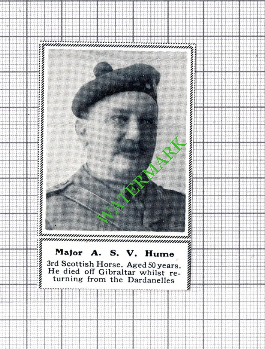 Major ASV Hume 3rd Scottish Horse WW1 Great War - c.1918 SMALL Cutting