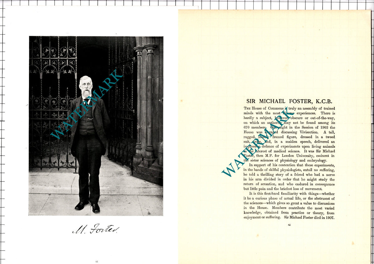 Sir Michael Foster MP - c.1904 Article / Print