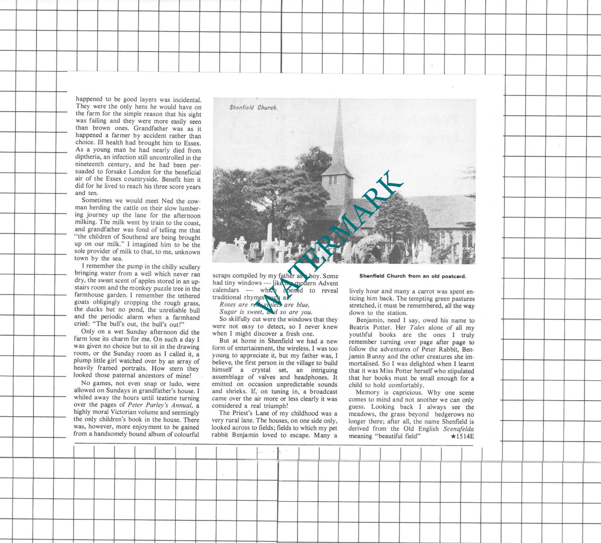 Shenfield Essex Vera Burden - 1978 Article
