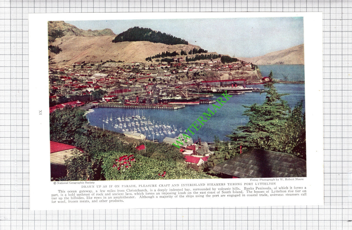 Port Lyttelton New Zealand - c.1936 Cutting / Print
