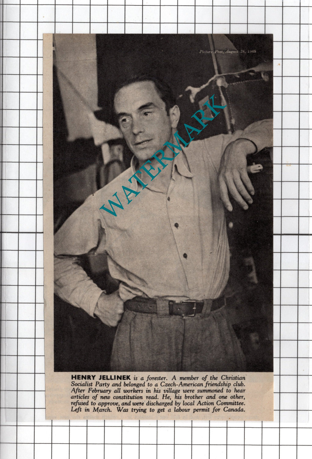 Henry Jellinek  Forester -  1948 News Cutting