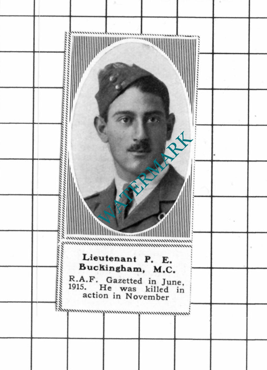 Lt P E Buckingham RAF WW1 - c.1918 SMALL Clipping / Print