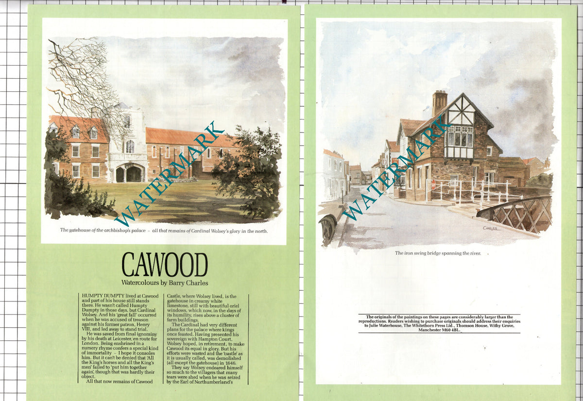 Cawood Yorkshire  - 1985 Article