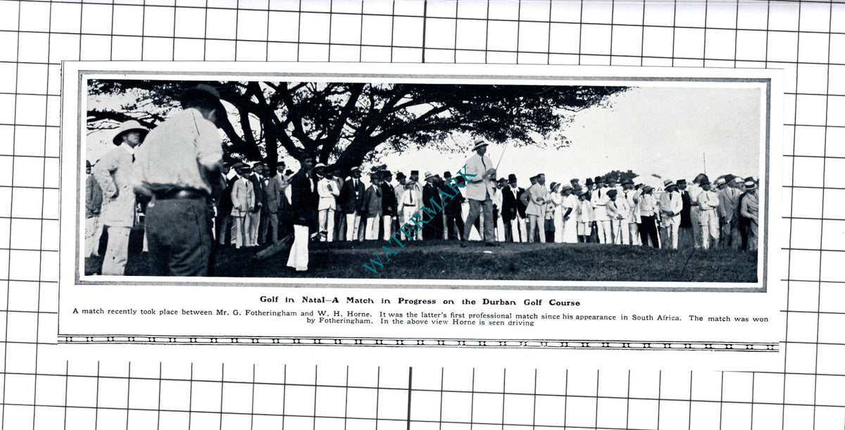 Mr G Fotheringham W H Horne Durban Golf Course  - 1914 Cutting / Print