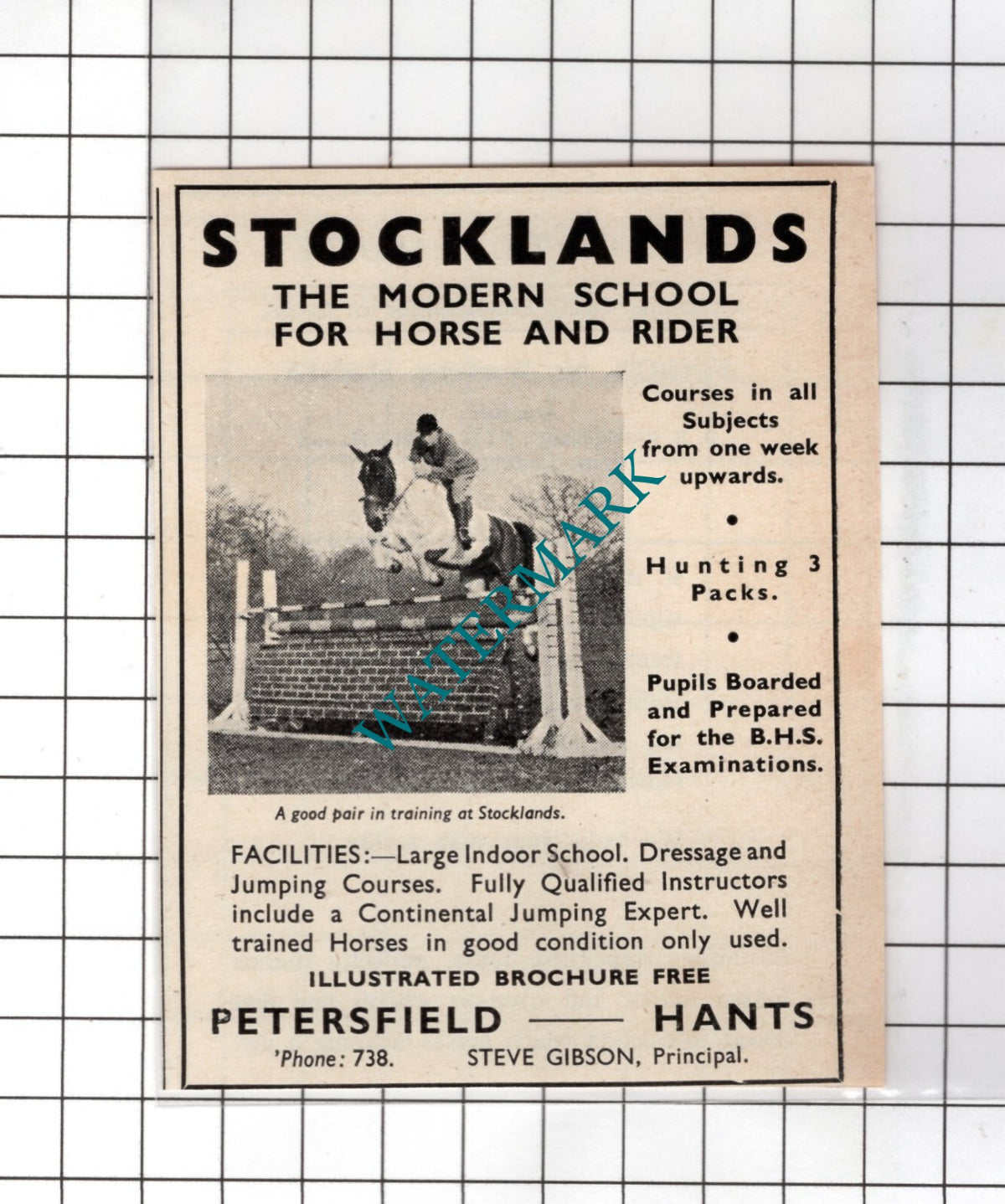 Stocklands Riding School Petersfield Hampshire Steve Gibson - 1949 Small Advert