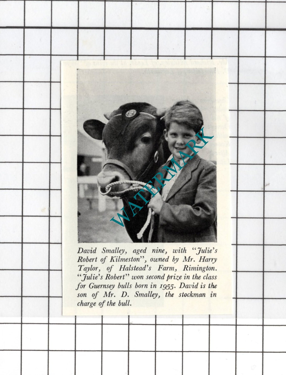 David Smalley Harry Taylor Halstead's Farm Rimington - 1956  SMALL Clipping