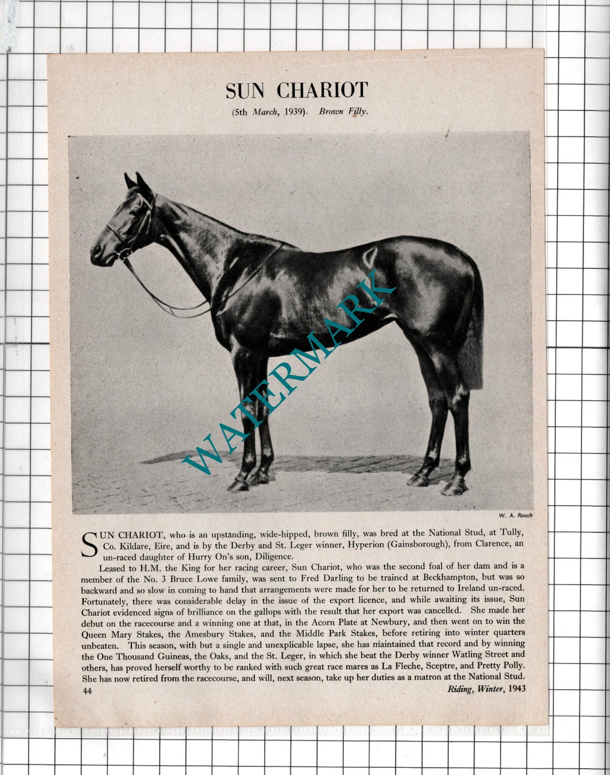 Sun Chariot Horse Bruce Low Fred Darling  - 1943 Clipping