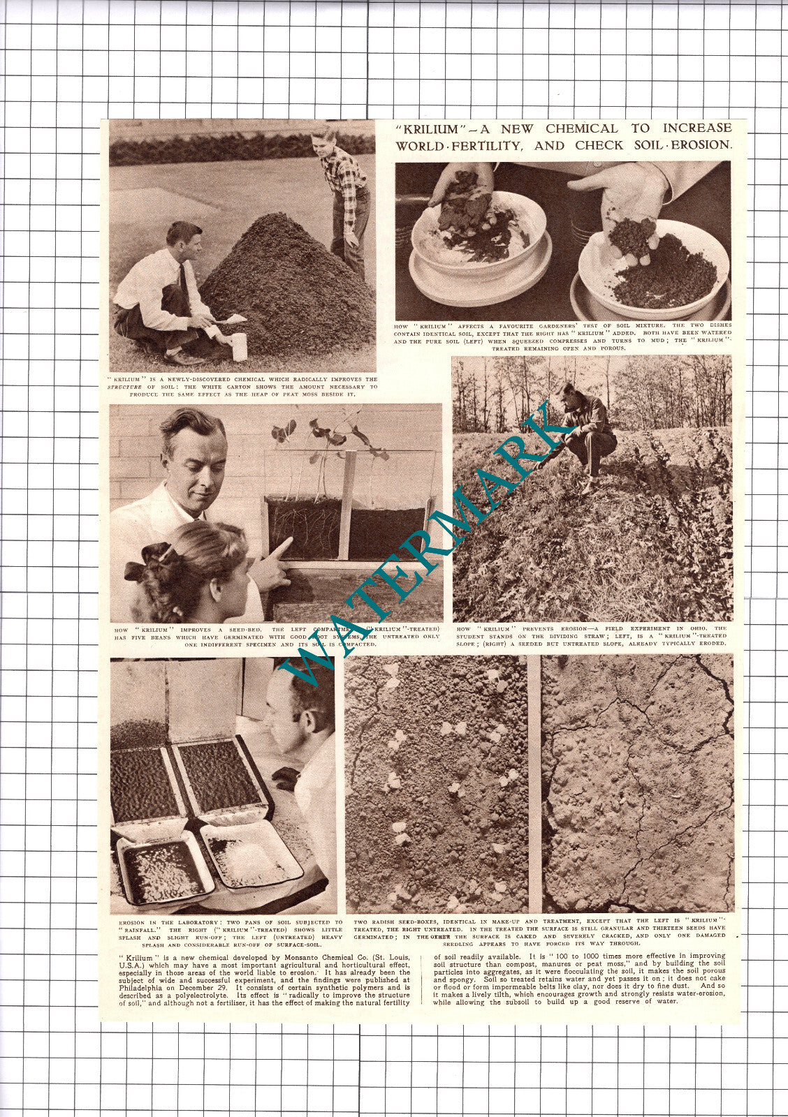 Monsanto Chemical Co St Louis USA Krilium  - 1952 Clipping / Print
