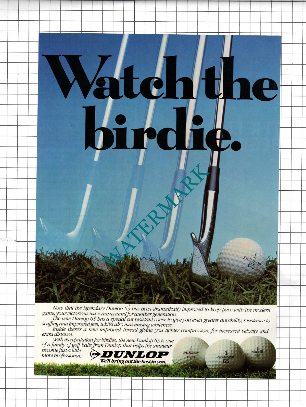 Dunlop 65 ADVERT Golf - 1981 Cutting