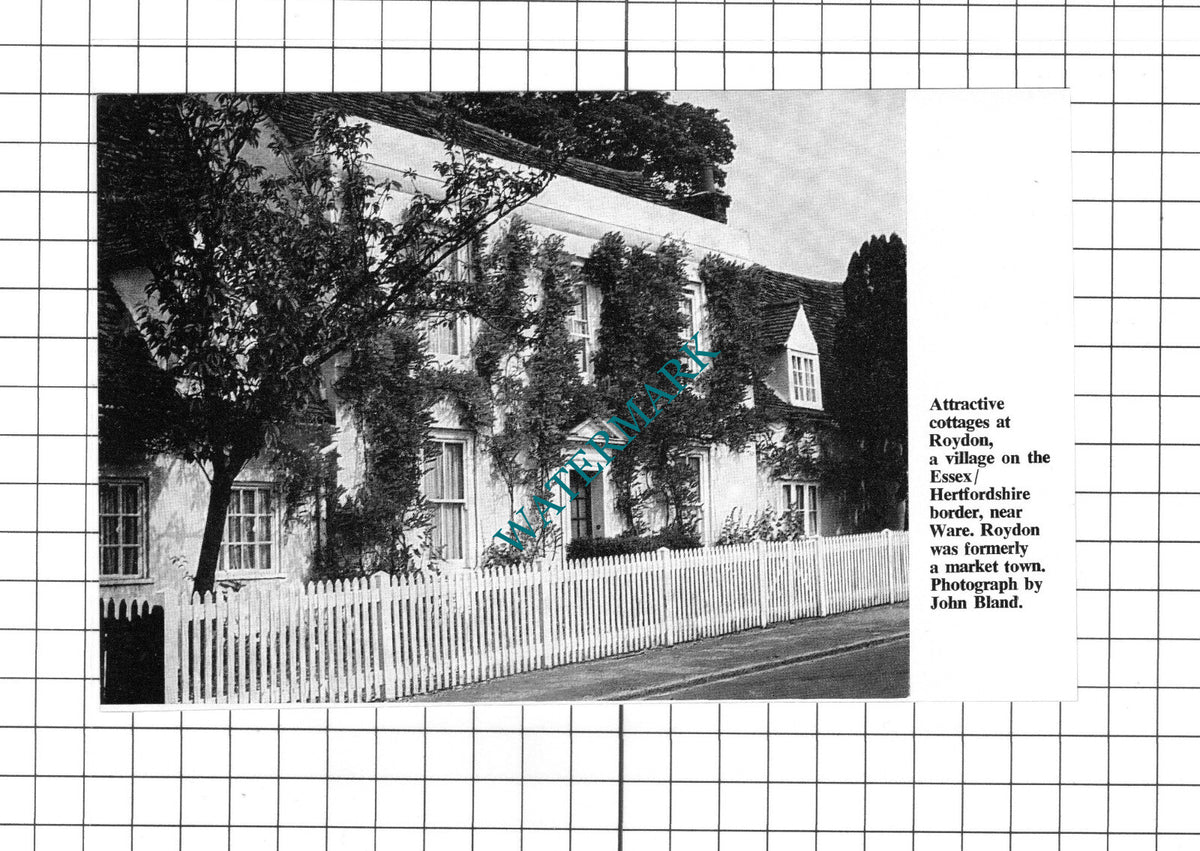 Roydon Essex   - c.1967 Clipping / Print