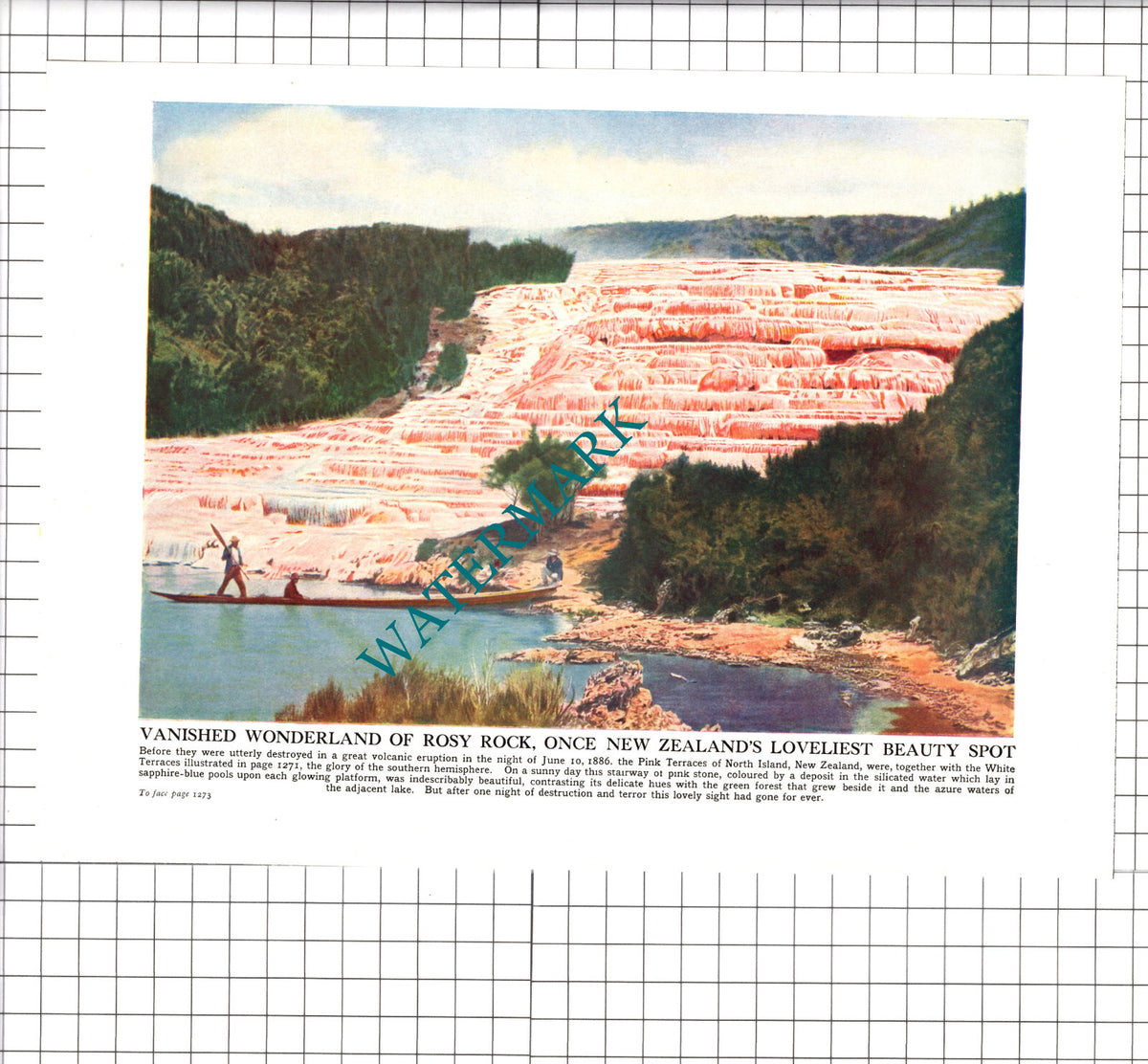 Pink Terraces North Island New Zealand  - 1950s  Print
