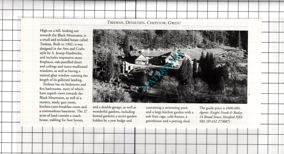 Tredean Devauden Chepstow Gwent House Sale Advert - 1995 Cutting