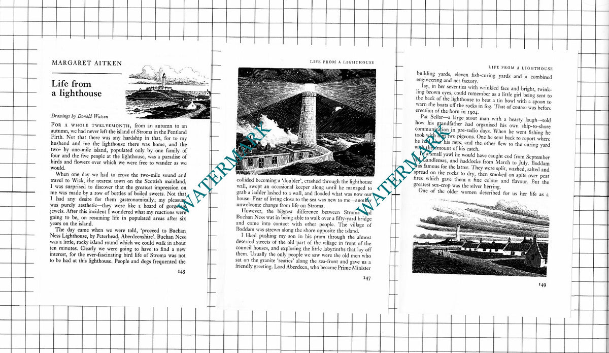 Buchan Ness Lighthouse  Boddam   - 1975 Article / Print