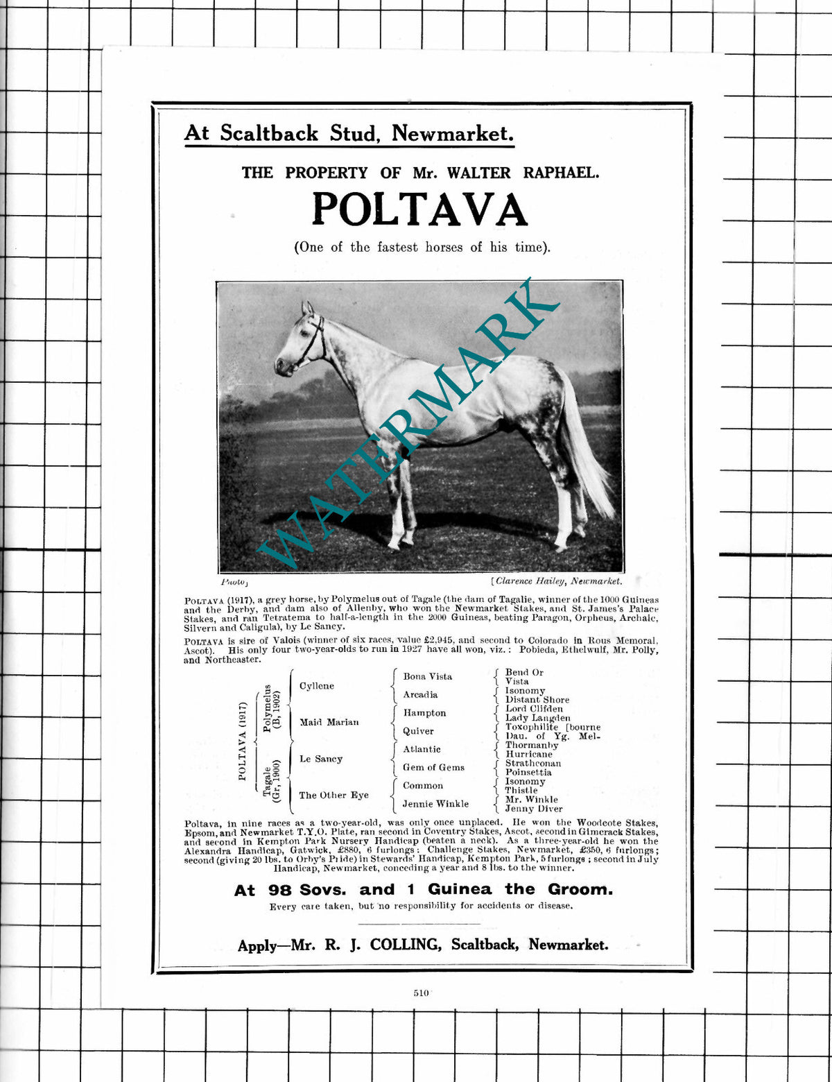 Mr Walter Raphael Scaltback Stud Newmarket POLTAVA Horse Racehorse - 1927 Advert
