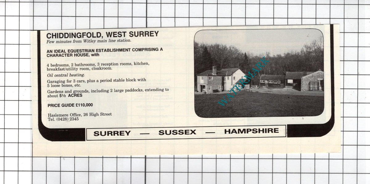 Chiddingfold Surrey House Sale Advert - 1981 Cutting