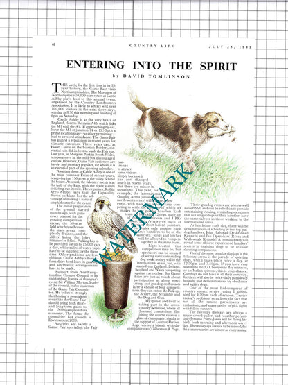 Castle Ashby Game Fair  - 1991 Article