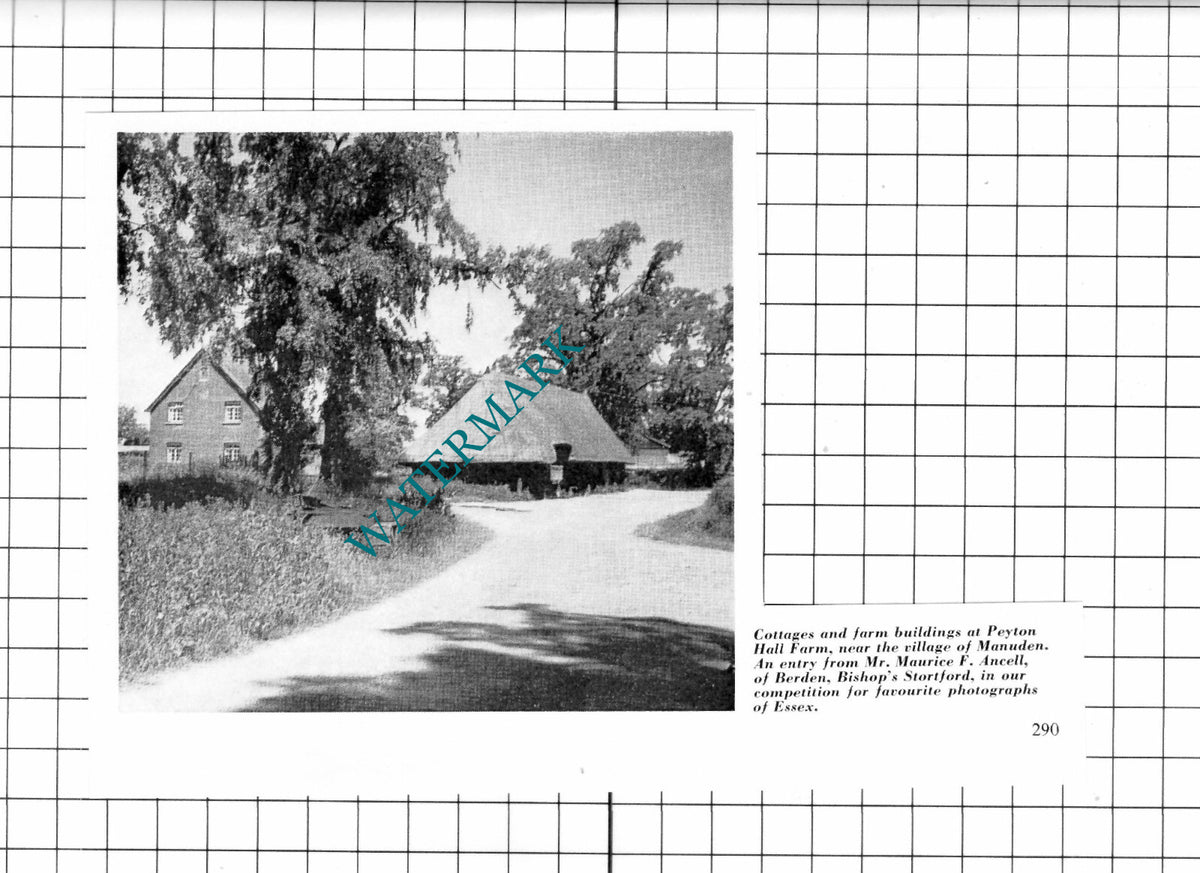 Peyton Hall Farm Manuden Essex - 1962 Clipping / Print