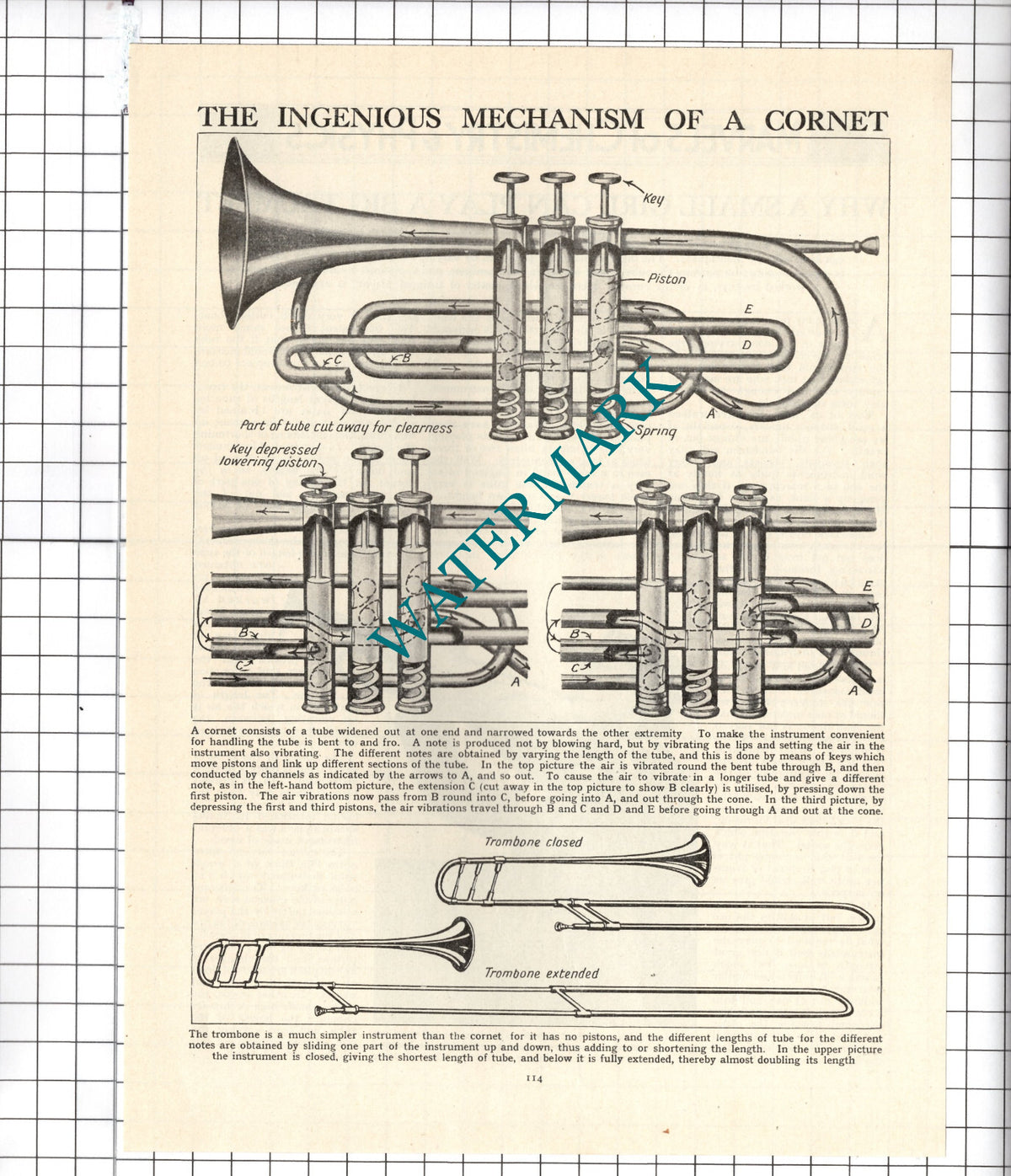 The Mechanism Of A Cornet Musical Instrument - c.1940's Cutting / Print